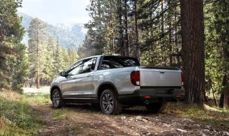 Silver pickup truck parked on a forest trail with tall trees and mountains in the background.
